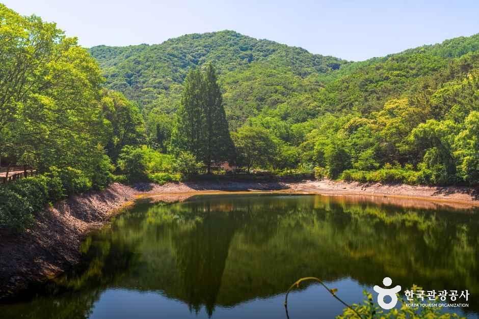 엔학고레