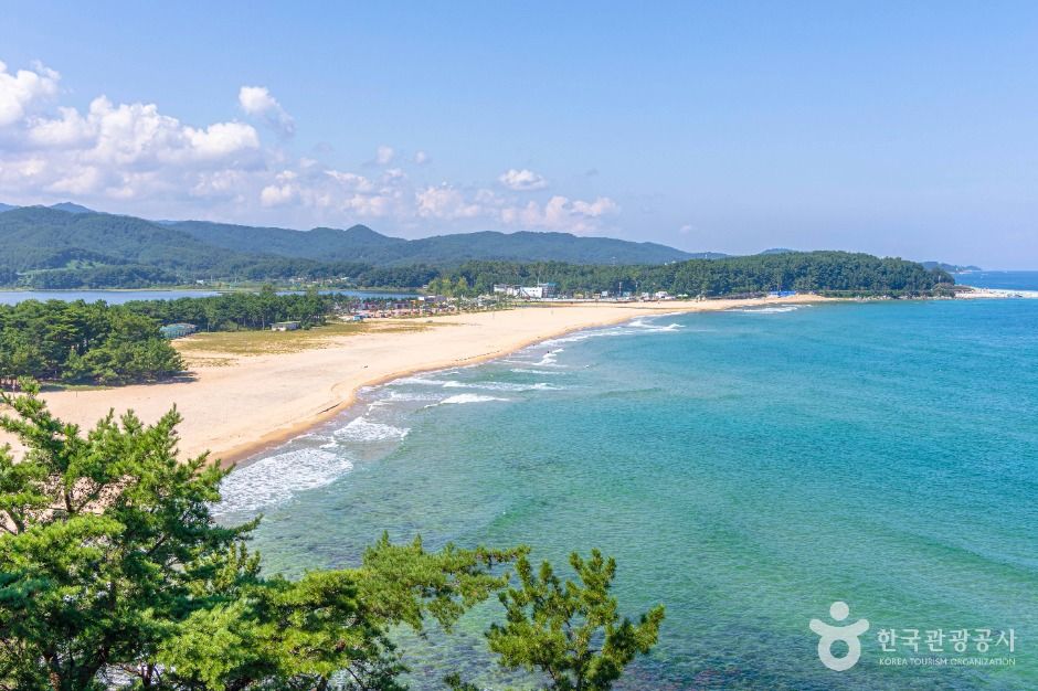 화진포해수욕장