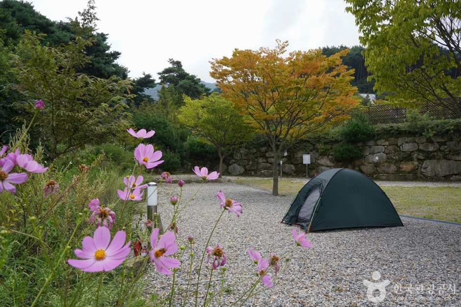 한티별빛아래오토캠핑장