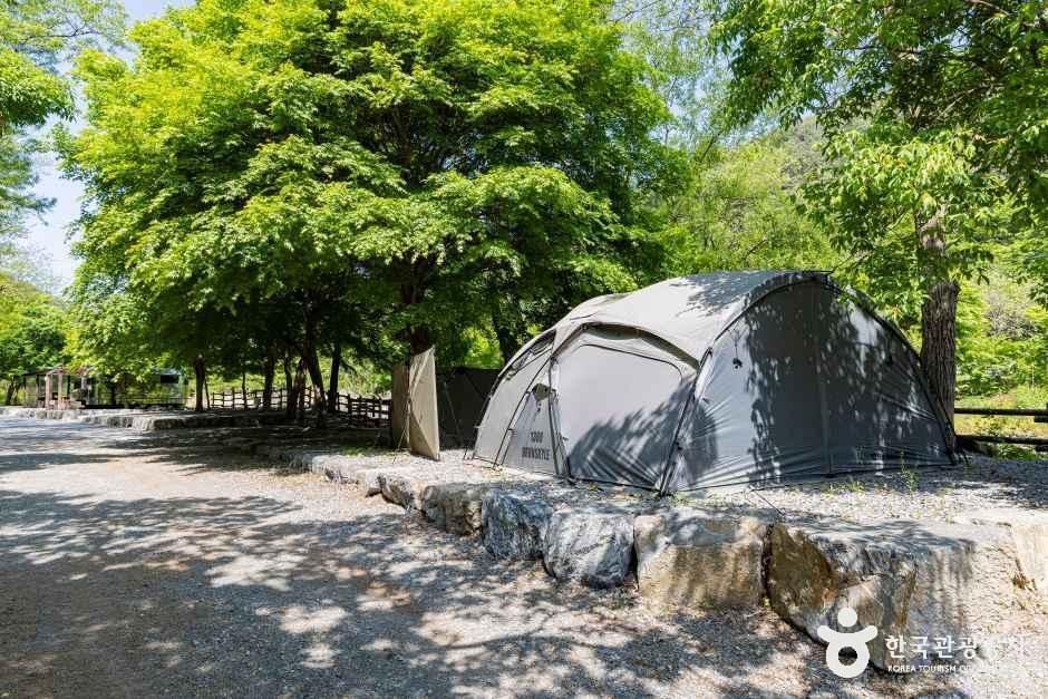 용두산오토캠핑장