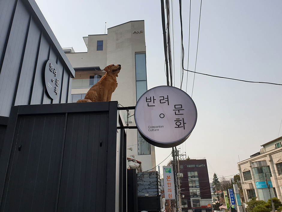 반려문화