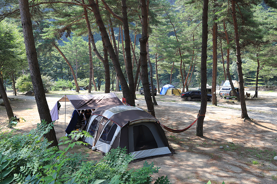 리버힐즈오토캠핑장