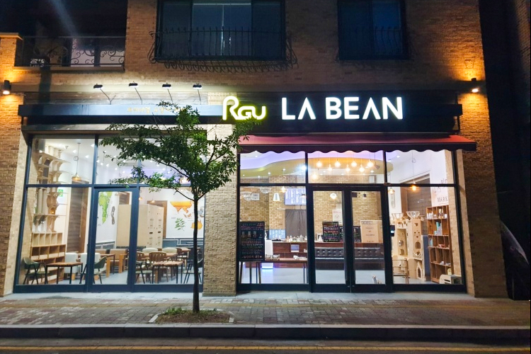 라빈고양이카페
