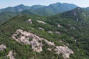 작은동산