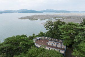 주벅배전망대