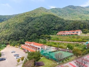 팔공산금화자연휴양림