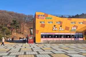 칠곡보사계절썰매장