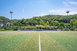 비산체육공원