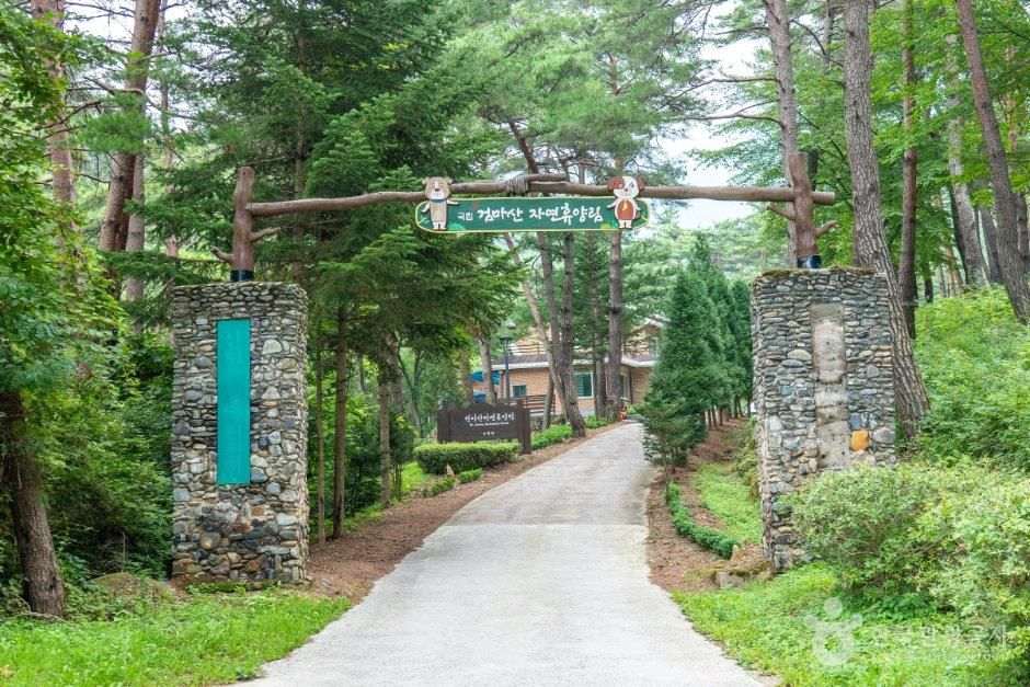 국립검마산자연휴양림캠핑장