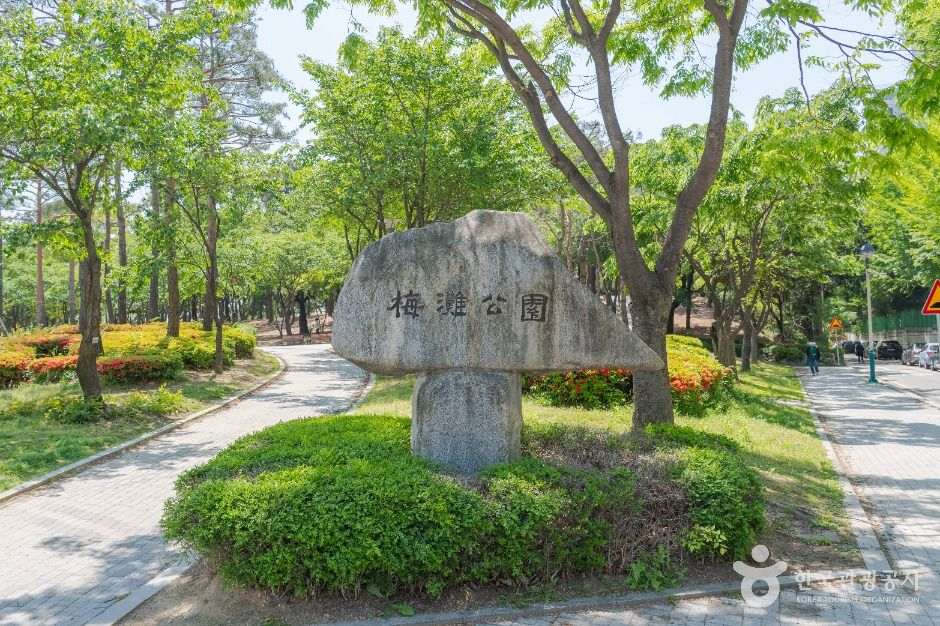 매탄공원