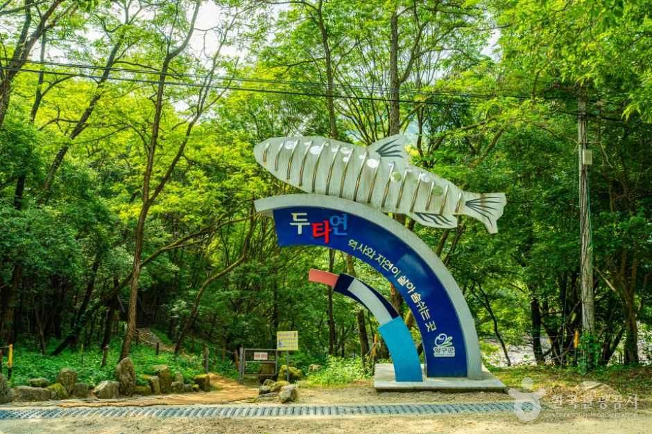 [강원평화누리자전거길 10코스] 양구 두타연길