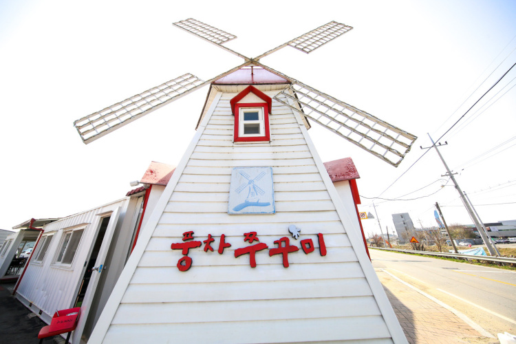 풍차쭈꾸미