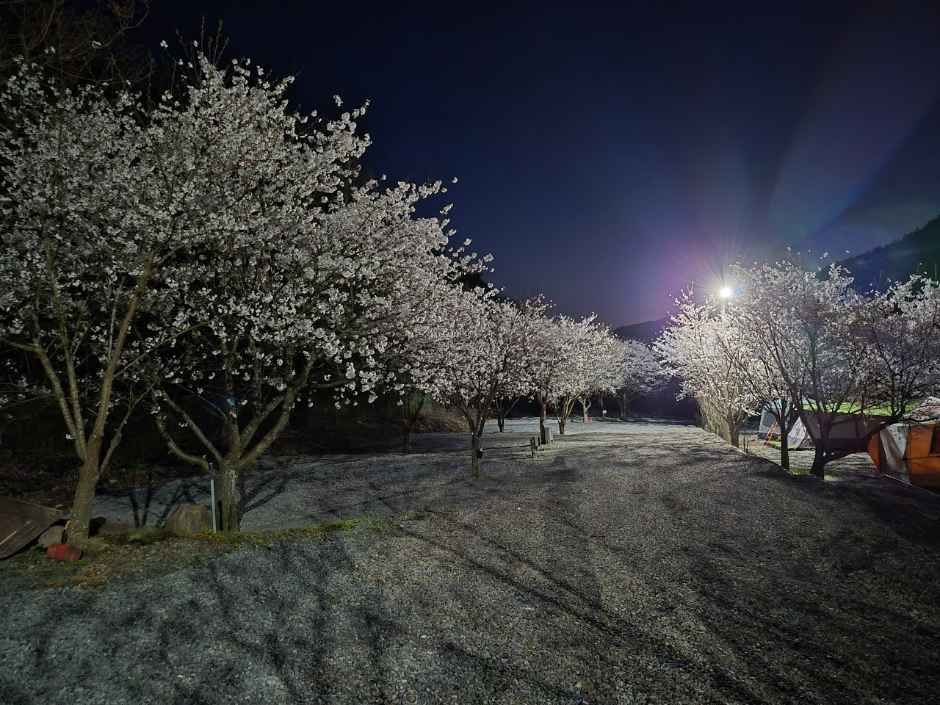 자연애스토리