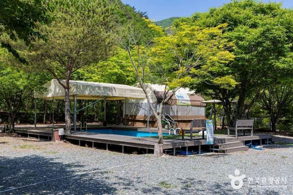 월악힐링캠핑장