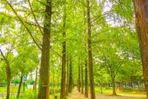 호산공원