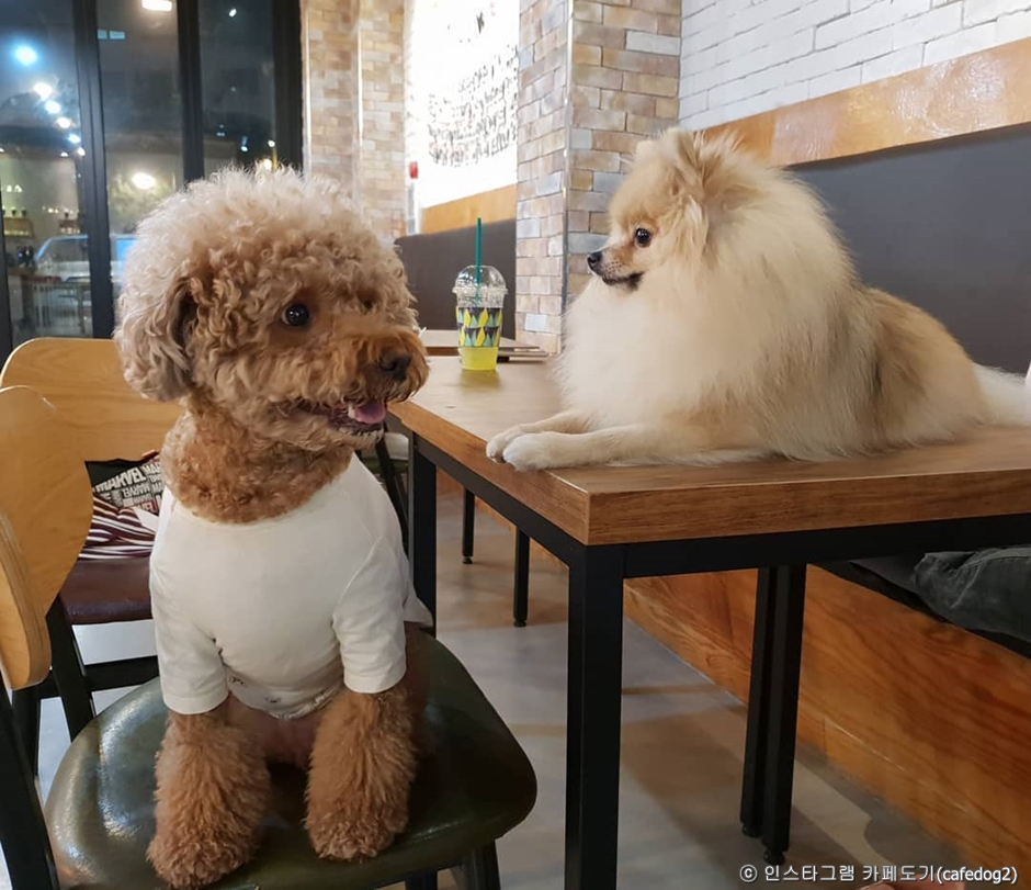 도기