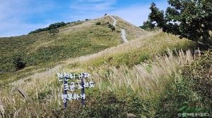 황매산 억새군락지