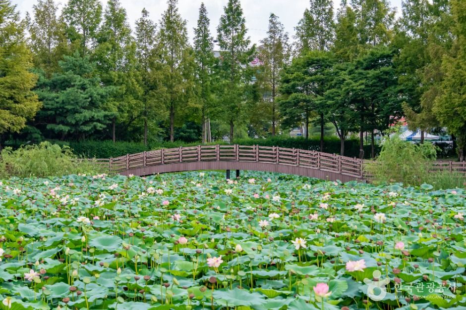 봉담호수공원