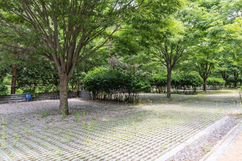 백야자연휴양림 오토캠핑장