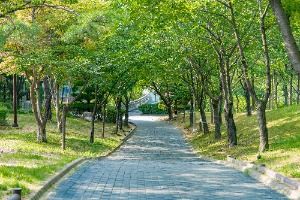비둘기공원