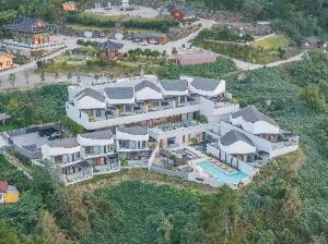 코스모스 울릉도