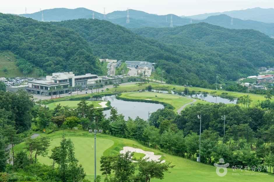 포웰CC 안성