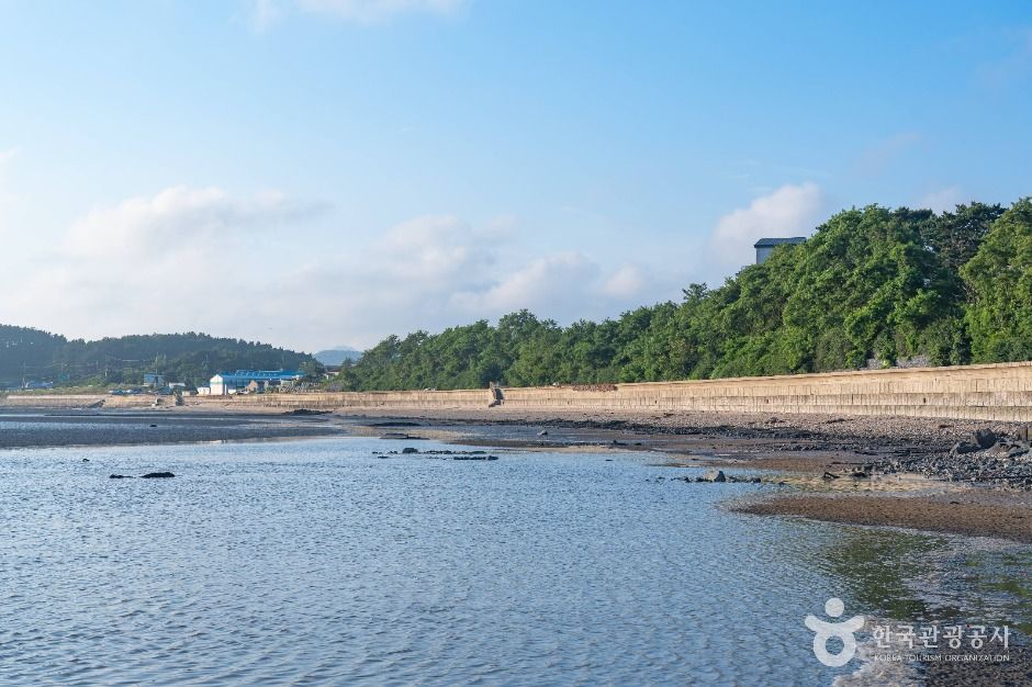갈목해변