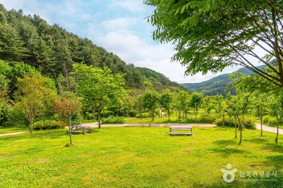 매쟁이골