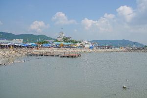 설도항
