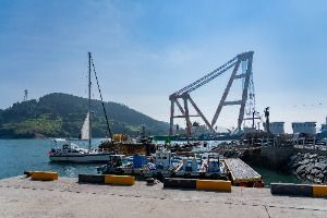 독정항