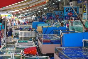 몽산포어촌계수산물판매장