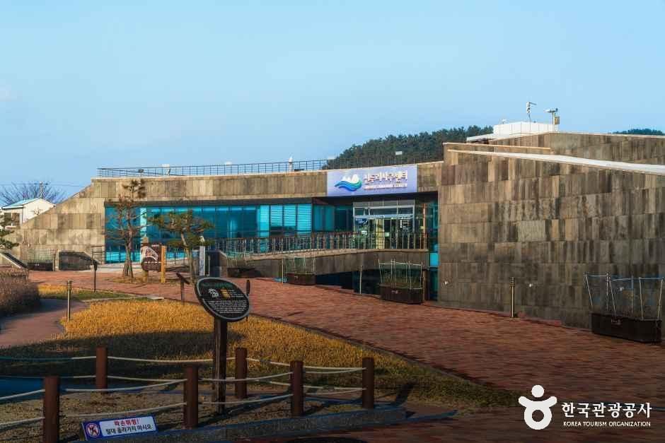 신두리사구센터