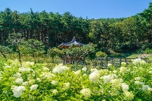 Unjesan Forest Park