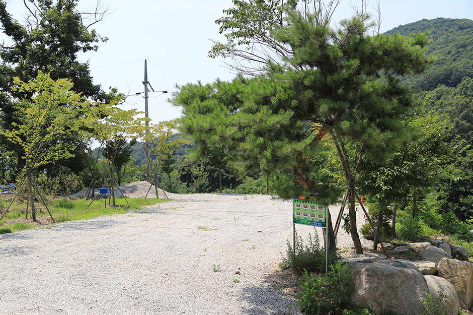 렛츠고 강화캠핑