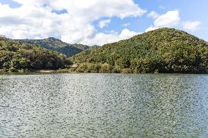 충도저수지