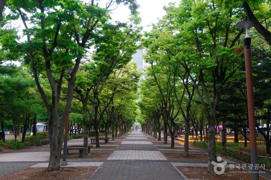 보라매공원(대전)