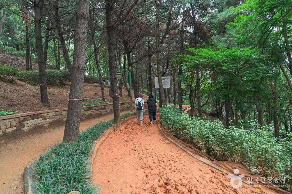 수진공원