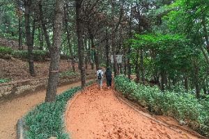 수진공원