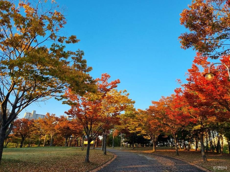 안산호수공원