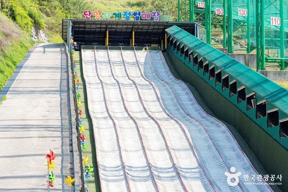 단양 사계절썰매장