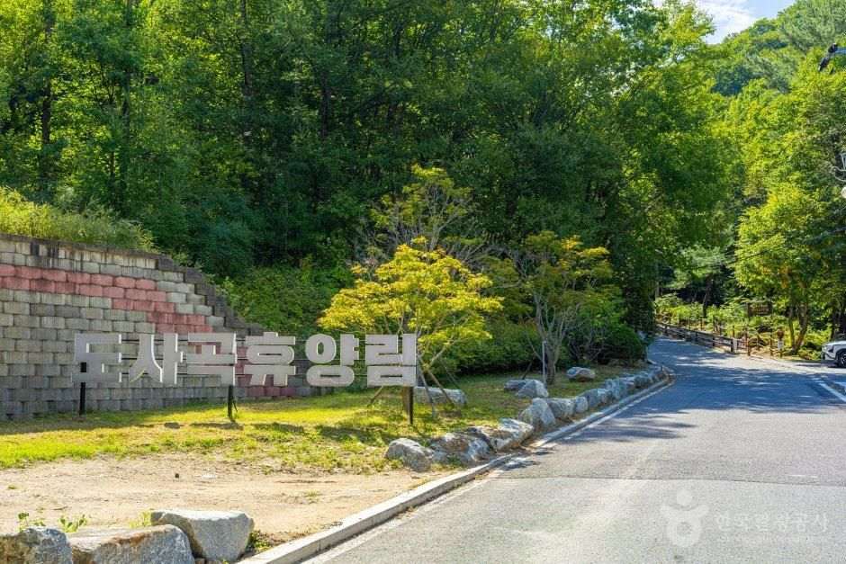 도사곡자연휴양림야영장