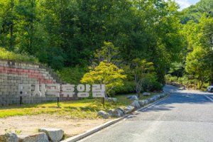 도사곡자연휴양림야영장