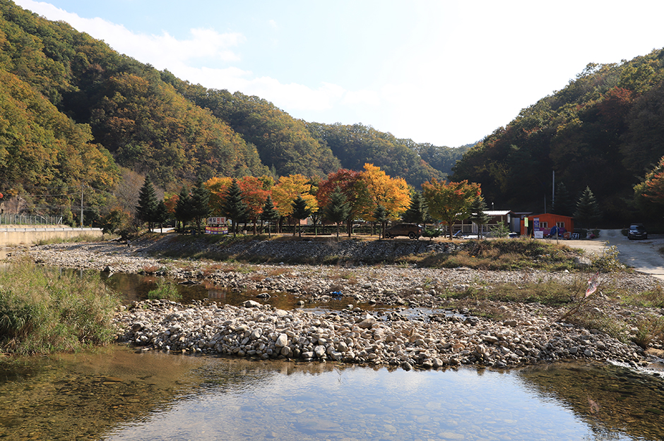 매일민박캠핑장