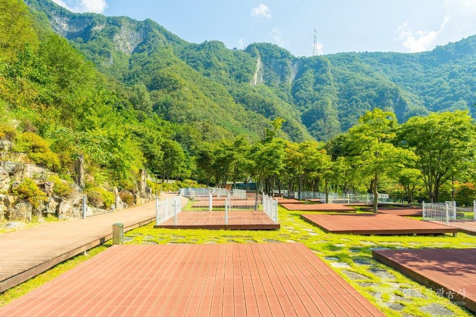 정선군생태체험학습장야영장