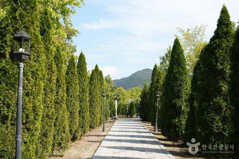 나주 은행나무 수목원