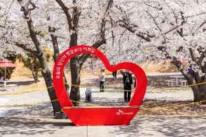 SK인천석유화학벚꽃동산