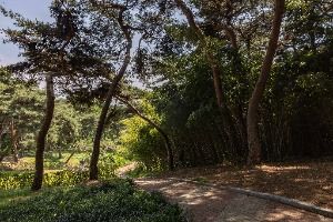 솔밭공원(청주)