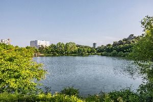 송대공원