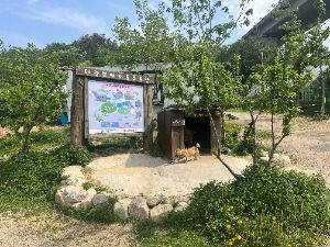 대관령아기동물농장
