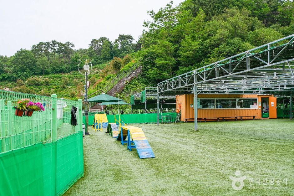 울산애견공원